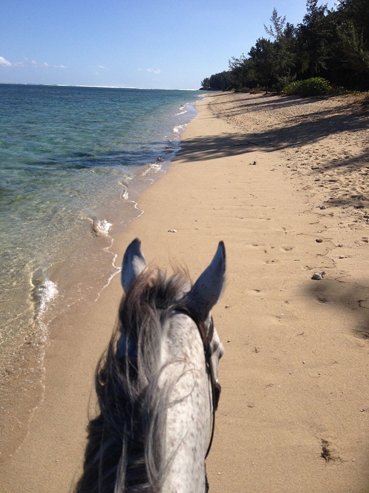 Centre Equestre de Riambel | Horse riding